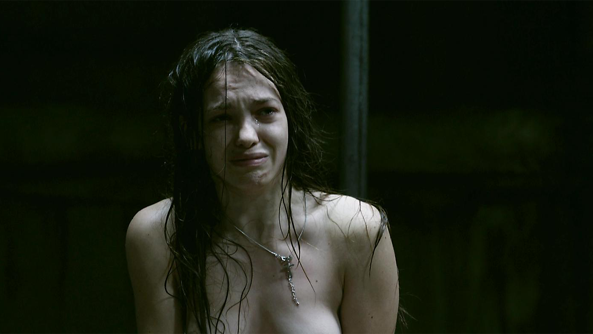 دانلود فیلم I Spit on Your Grave 2 2013 زیرنویس چسبیده